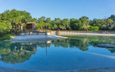 Lithia, Florida: Trails, Springs, and Room to Spread Out East of Tampa