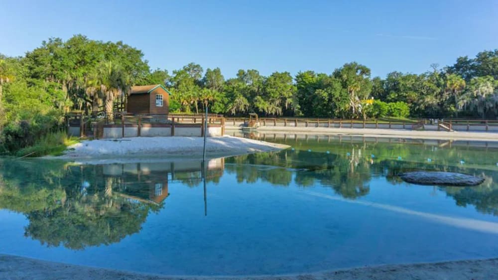 Clear spring water at Lithia Springs Conservation Park along the Alafia River in Lithia, Florida.
